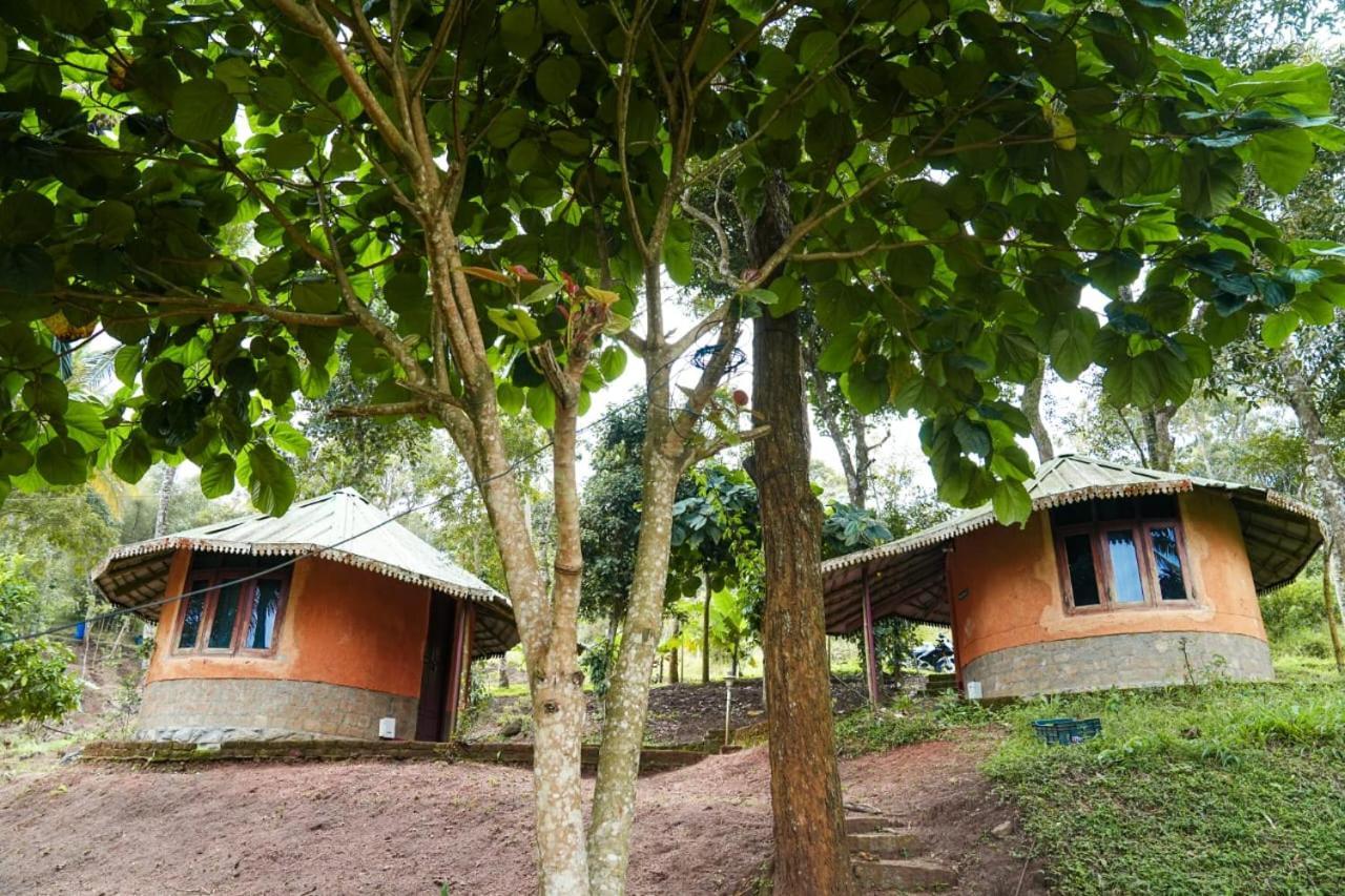 Punarjani Ayurvedic Resorts Ramakkalmedu Bagian luar foto