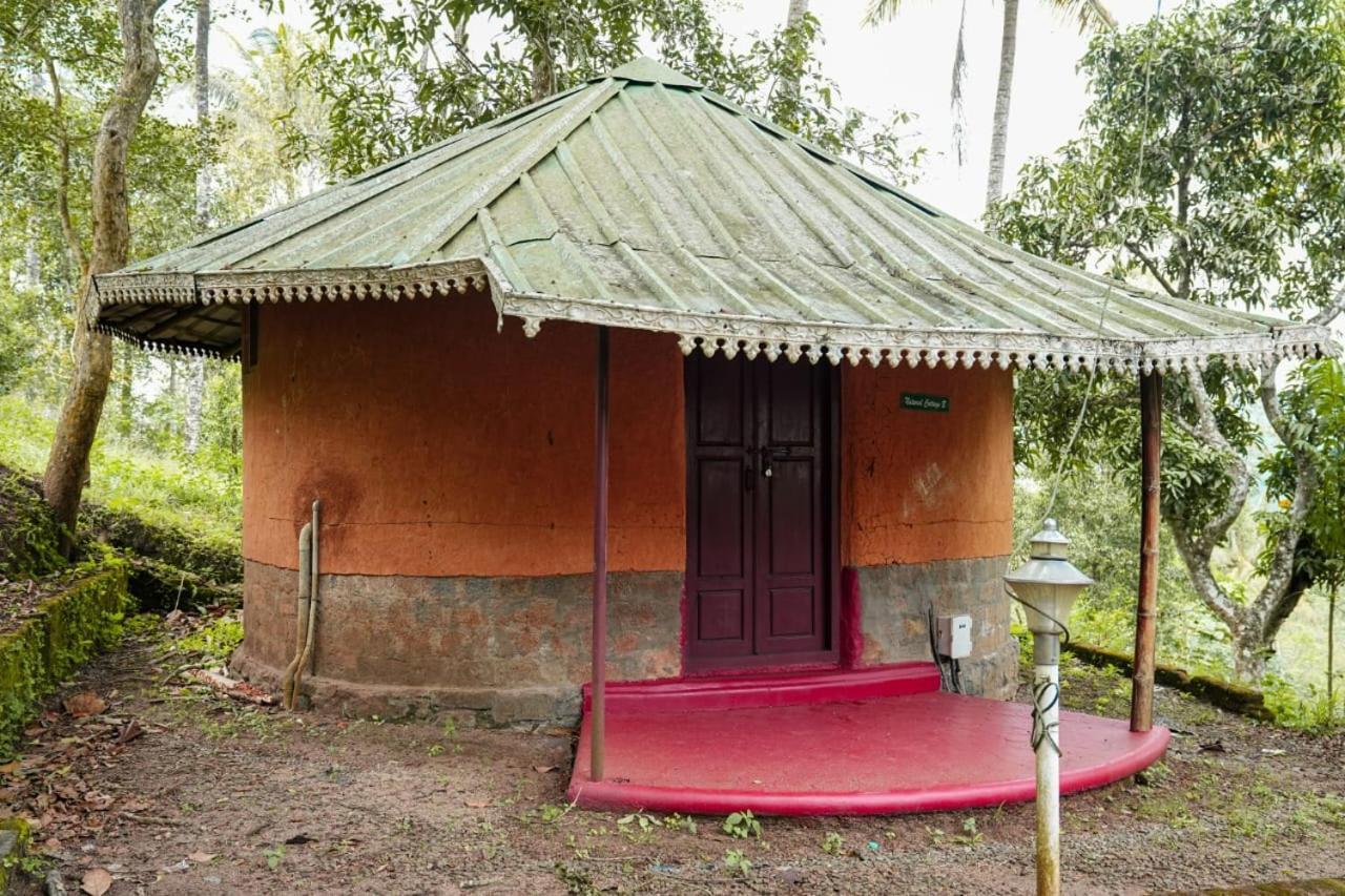 Punarjani Ayurvedic Resorts Ramakkalmedu Bagian luar foto