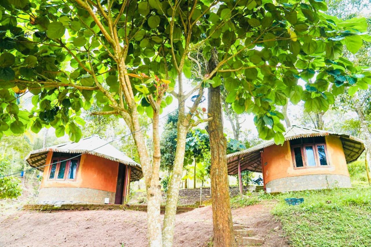 Punarjani Ayurvedic Resorts Ramakkalmedu Bagian luar foto