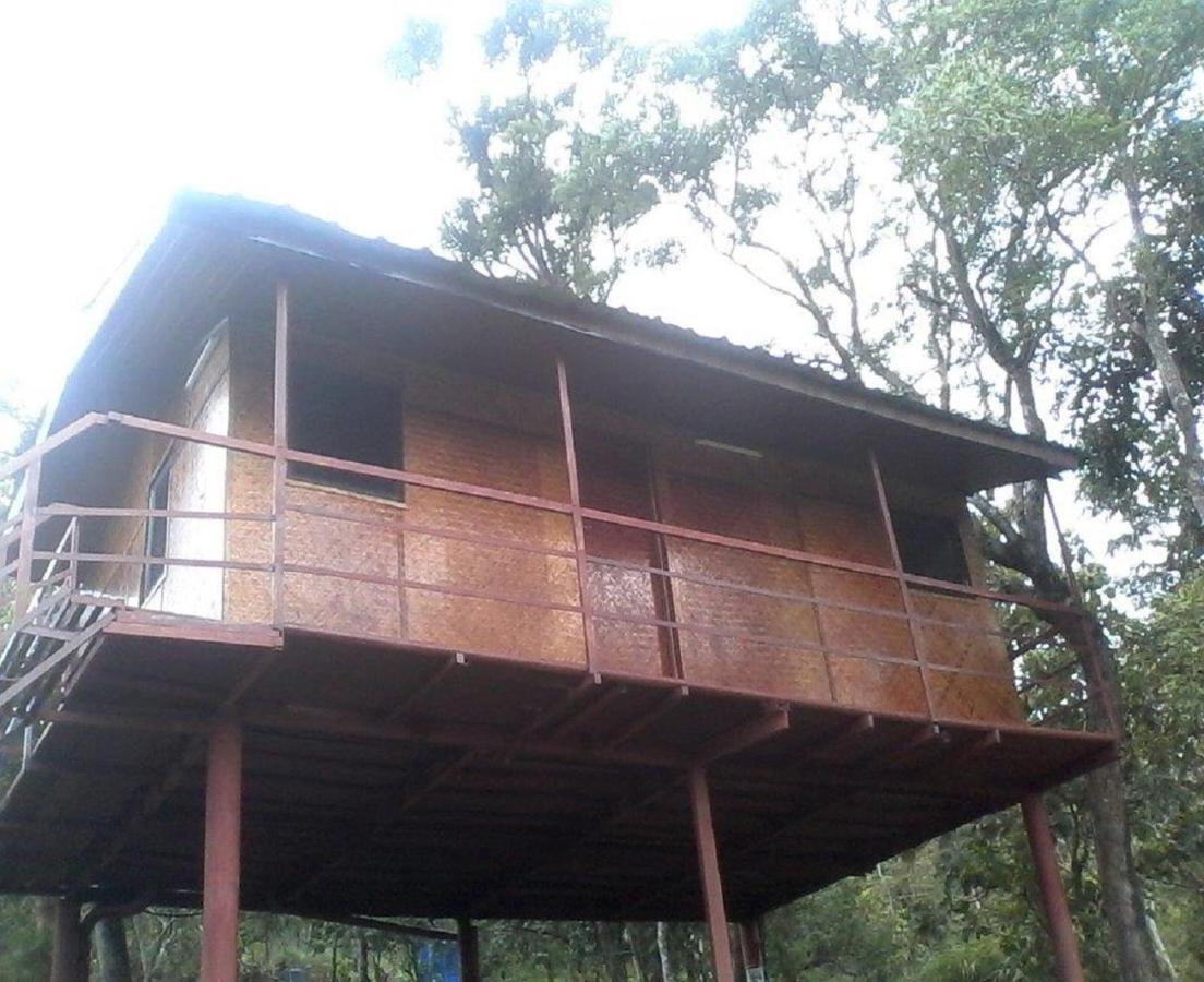 Punarjani Ayurvedic Resorts Ramakkalmedu Bagian luar foto