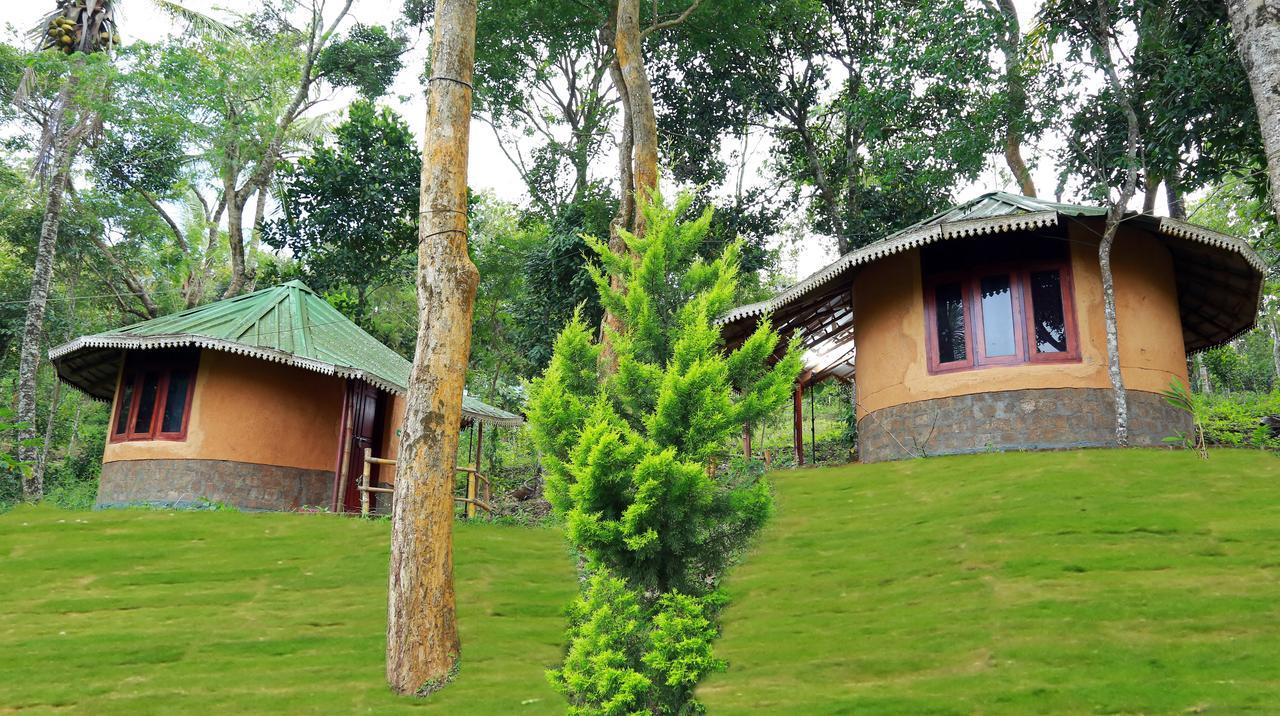 Punarjani Ayurvedic Resorts Ramakkalmedu Bagian luar foto