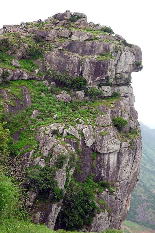 Punarjani Ayurvedic Resorts Ramakkalmedu Bagian luar foto