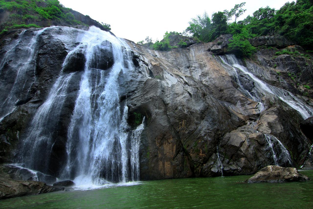 Punarjani Ayurvedic Resorts Ramakkalmedu Bagian luar foto